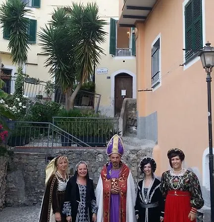 Studio Alta