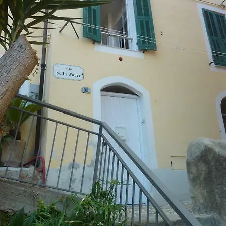 Studio Alta